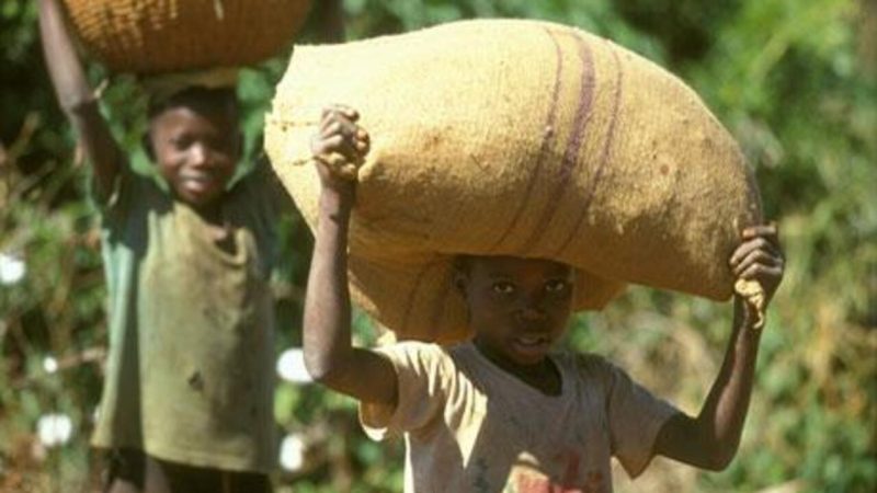 Journée Mondiale contre le travail des enfants 2025: les efforts restent à faire.