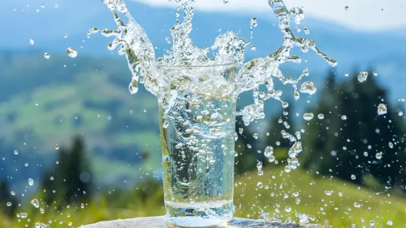 L’eau: le carburant de l’organisme.